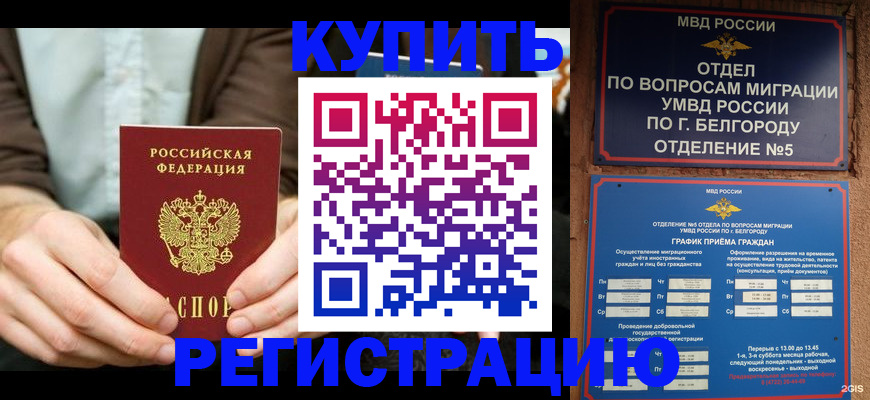 прописка 2025 в Михайловске